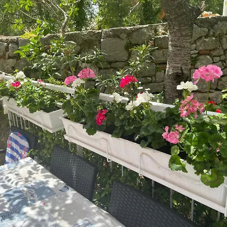 Daire Zanic With Hot Tub